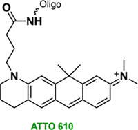 Bio-Synthesis Inc. Oligo Structure